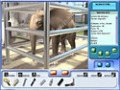 Free Download Zoo Vet 2: Endangered Animals Game