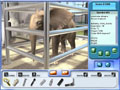 Free Download Zoo Vet 2: Endangered Animals Game