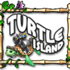 Turtle Island icon