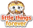 Little Things Forever game