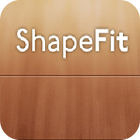 Shape Fit game