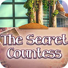 The Secret Countess game