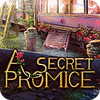 A Secret Promise game
