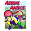 Aerial Antics game