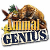 Animal Genius game