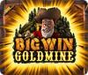 Big Win Goldmine game
