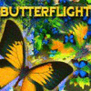 Butterflight game