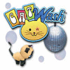 Cat Wash game