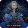 Dark Parables: Curse of Briar Rose Collector's Edition game