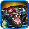 Dark Tales: Edgar Allan Poe's The Black Cat Collector's Edition game