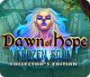 Dawn of Hope: The Frozen Soul Collector's Edition game