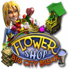 Flower Shop: Big City Break game