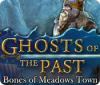 Ghosts of the Past: Bones of Meadows Town game