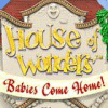 House of Wonders: Babies Come Home game