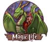 Magic Life game