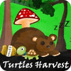 Turtles Harvest game