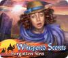 Whispered Secrets: Forgotten Sins game