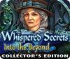 Whispered Secrets: Into the Beyond Collector's Edition game