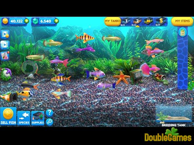 Fish Tycoon Magic Fish Chart